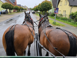 20250519_Spreewald_ (20)